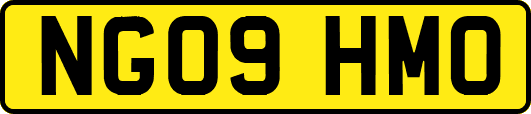 NG09HMO