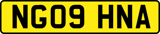NG09HNA