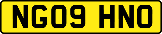 NG09HNO