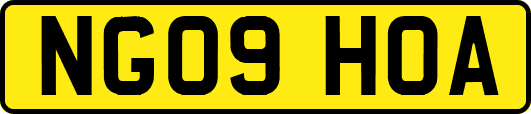 NG09HOA
