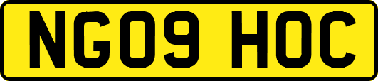 NG09HOC