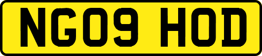 NG09HOD