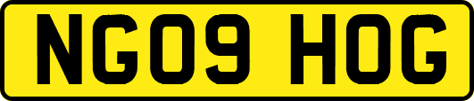 NG09HOG