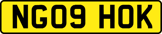 NG09HOK