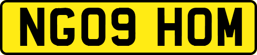NG09HOM