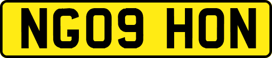 NG09HON