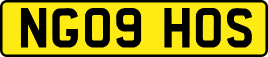 NG09HOS