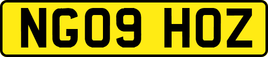 NG09HOZ