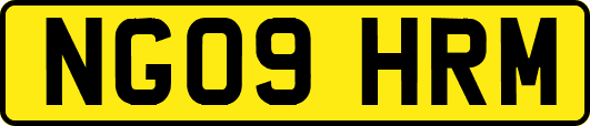 NG09HRM