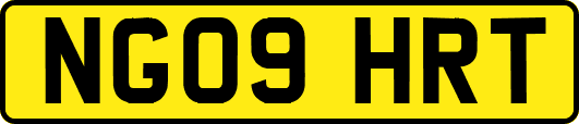 NG09HRT