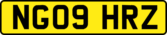NG09HRZ