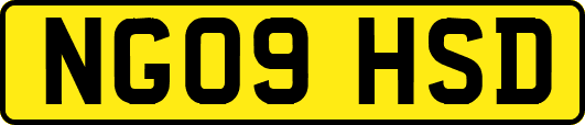 NG09HSD