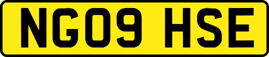 NG09HSE