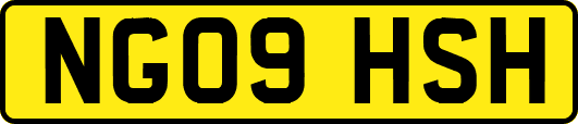 NG09HSH