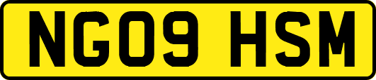 NG09HSM