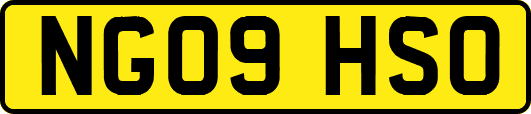NG09HSO