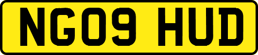 NG09HUD