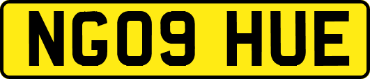 NG09HUE