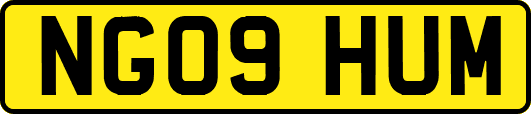 NG09HUM
