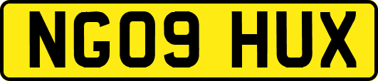 NG09HUX