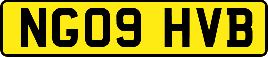 NG09HVB