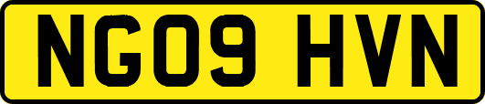 NG09HVN