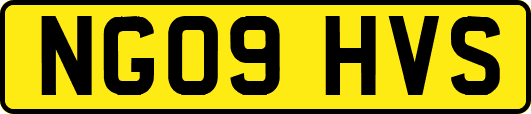 NG09HVS