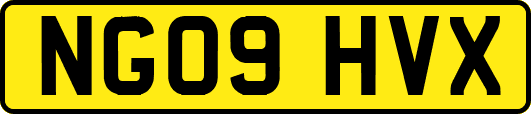 NG09HVX