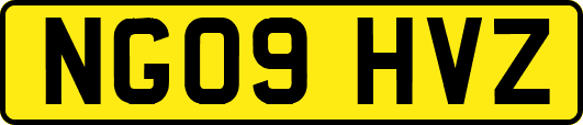 NG09HVZ