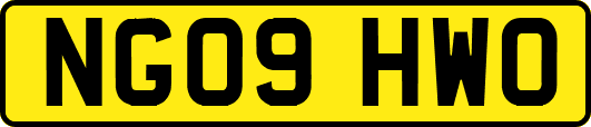 NG09HWO