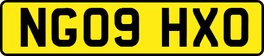 NG09HXO