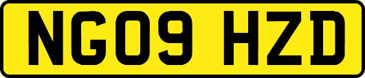 NG09HZD