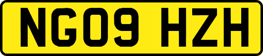 NG09HZH