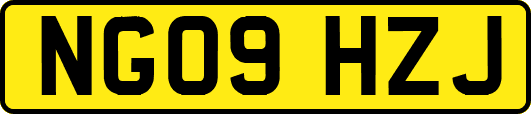 NG09HZJ