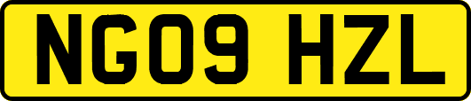 NG09HZL
