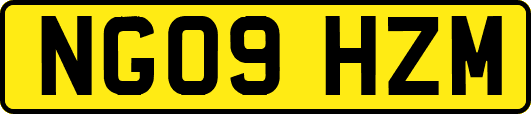NG09HZM