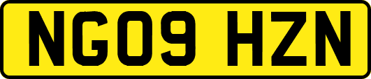 NG09HZN