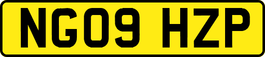 NG09HZP