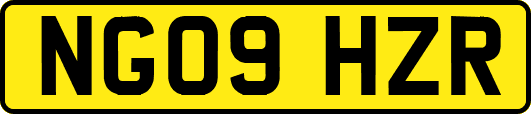 NG09HZR