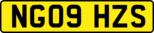 NG09HZS