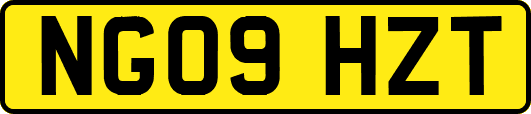 NG09HZT