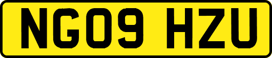 NG09HZU