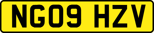 NG09HZV