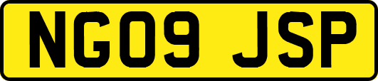 NG09JSP