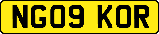 NG09KOR
