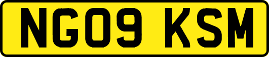 NG09KSM