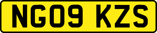 NG09KZS