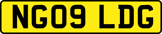 NG09LDG