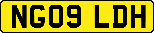 NG09LDH