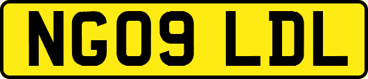 NG09LDL